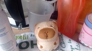 часть 1 как я лечу Капи