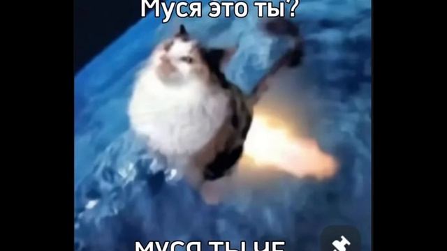 МУСЯ ТЫ ЧО?! смотреть онлайн