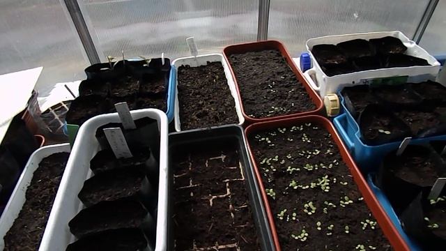 Дневник дачника  (10 апреля)