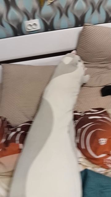 Повалил кота Василия.