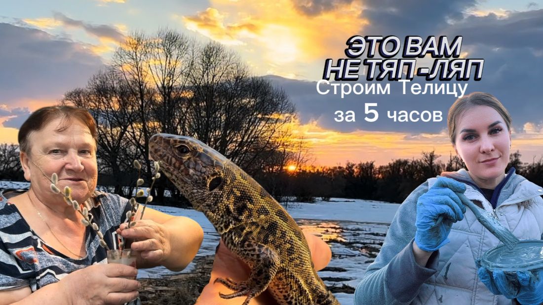 СВОЯ ТЕПЛИЦА ЗА 5 ЧАСОВСЕЕМ ОГУРЦЫУХА С ПРИВКУСОМ ЛЕТА