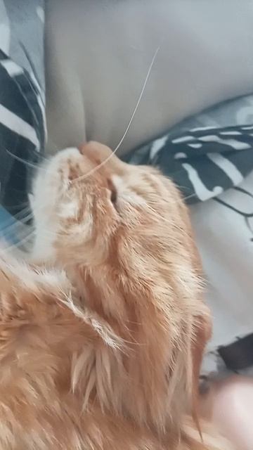 🤣🤣🤣🤣🤣🤣🤣🤣