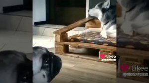 #потёк #холодильник