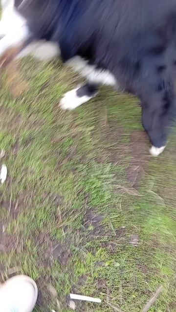 Последний день игрушки