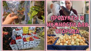 Продаю цветы. Поздравили подружку. Ужас повредили как руки. В поисках луковой шелухи.