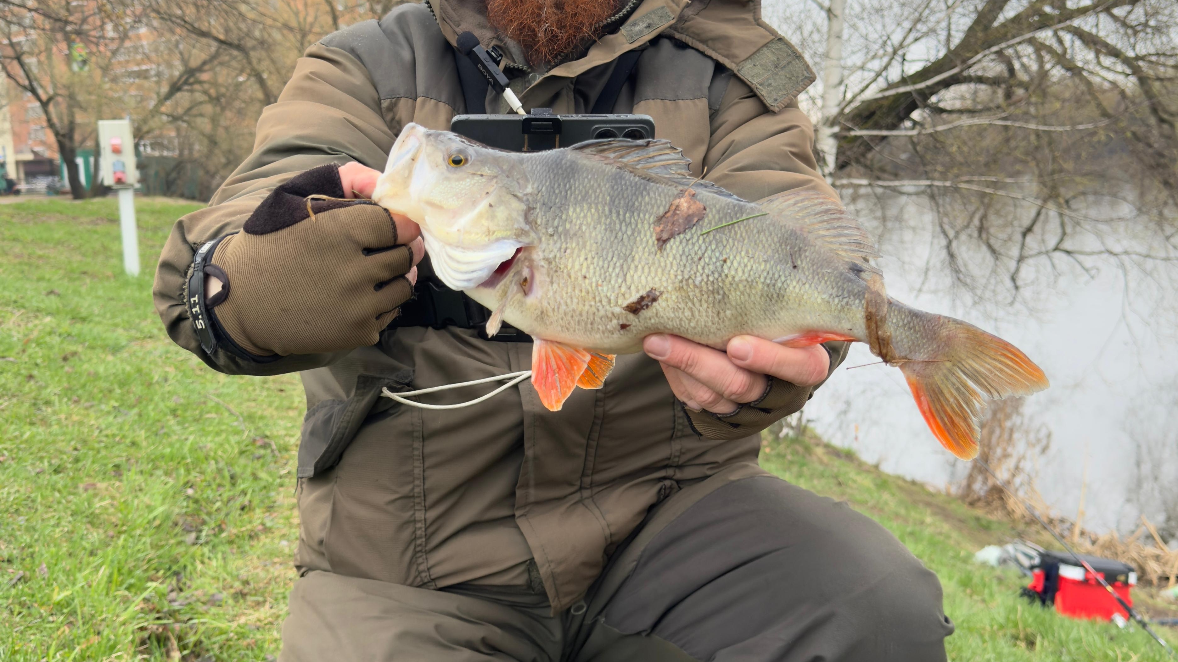 МАНДУЛА+20ГРАММ