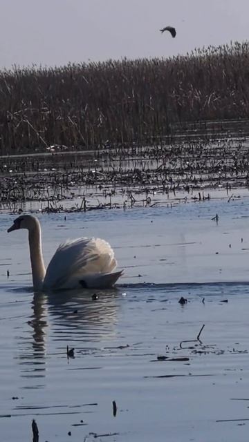 Рыбалка в Астрахани в апреле. Часть 5. Что такое раскаты?