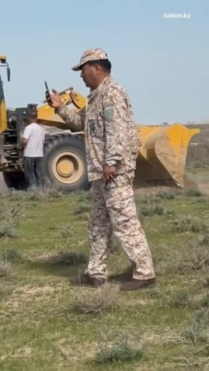 В туркестанской области спасли более 8000 редких черепах из зоны сельхоз работ