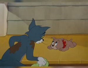 Tom & Jerry Funny moments with little bulldog 😹