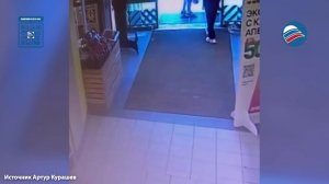 Боевая кошка Ларка – страх всех собак в столичном магазине