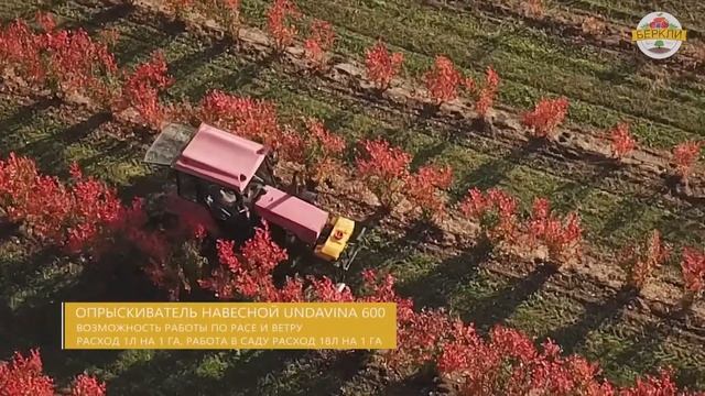 Фермерское хозяйство 