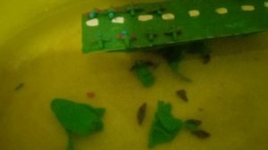 потопление японского авианосца зюкаку