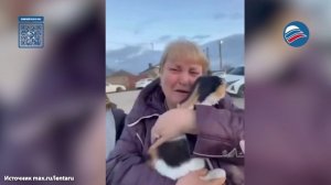 Душещипательные кадры: кошка пережила наводнение в Дагестане и спустя 5 дней вернулась к хозяйке