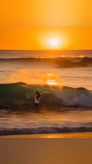Книга Пока все жаждали побед Автор - Кэт Линн книгакэтлиннклип