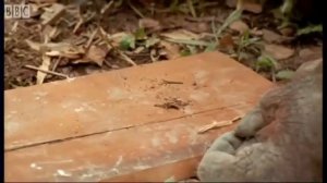 День рукожопов или Праздник неумелых рук отмечается сегодня. Вы знаете, кого поздравить