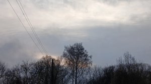 Вечерний солист