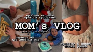 VLOG#23: сыну 7 месяцев, переход на два дневных сна, пробуем вводить кусочки, худею после родов