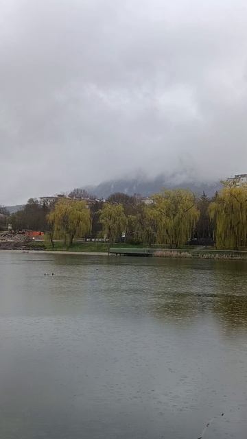 Естественная красота пасмурного весеннего дня...✨#природа #цветотерапия #чувства #развитие #душа