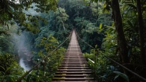 Liquid DnB Into The Wild 🌿 2 Hour Deep jungle Mix