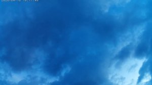 Нет слов от такой красоты !