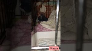 Жизнь- не картошка.Не выбросишь в окошко. 🪟