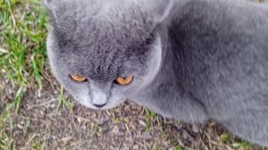 Дела домашние//наводим порядок в беседке