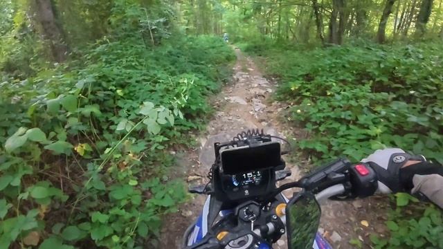 заросли солох