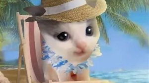 блин я забываю как назывется