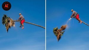 Идиоты с пилами и экстремальная перевозка. Подборка.