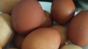 11-04-2026 Красим яйцо в луковой шелухе  по этапно.