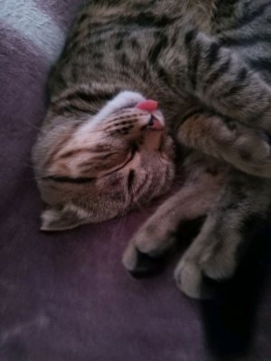 БАБНИКИ не заходить!!!!!!!!