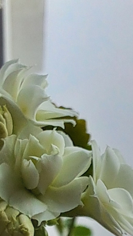 Я сломал руку к сожалению😥