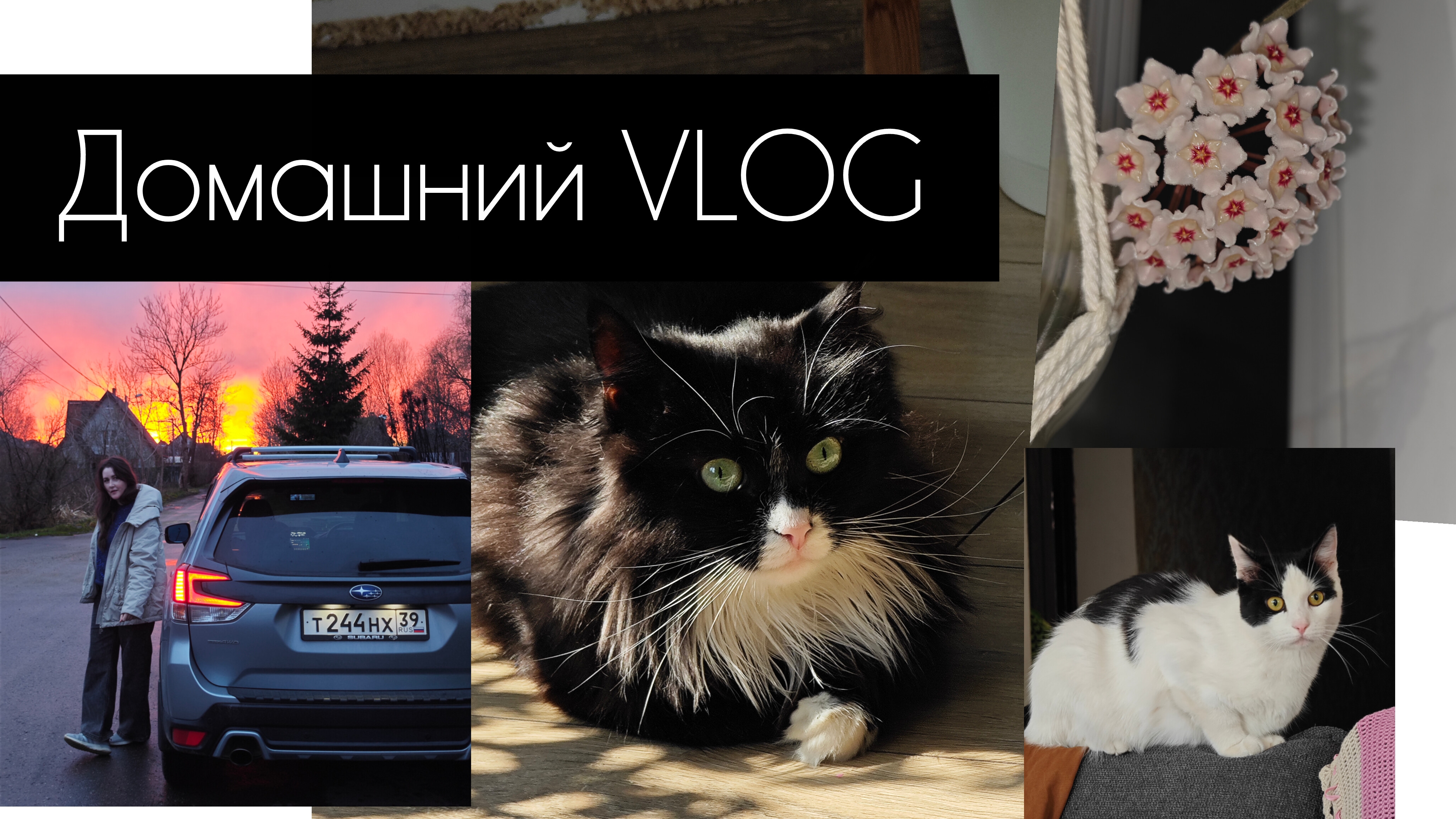 Домашний влог. апрель 2026