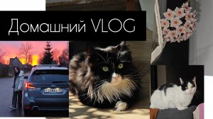 Домашний влог. апрель 2026