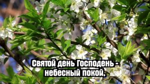 Библия онлайн | Книга Судей, 17 глава