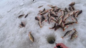 Огромные окуни и щуки на гигантские приманки. Гора рыбы с одной лунки. Fishing