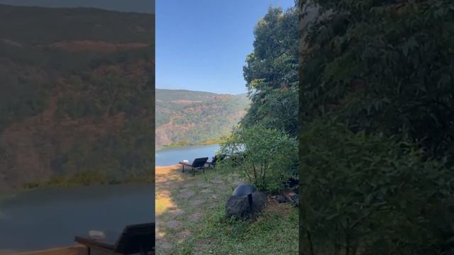 Дикое гнездо, Джунгли_Индия