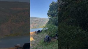 Дикое гнездо, Джунгли_Индия