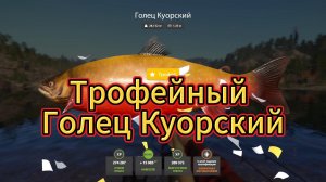 оз.Куори-трофейный КУОРЕЦ#РР4#Русскаярыбалка4