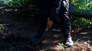Одиночный бушкрафт поход в лес, построил укрытие, еда на костре