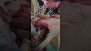 одеваемся на прогулку с лаки доги🐕🌱