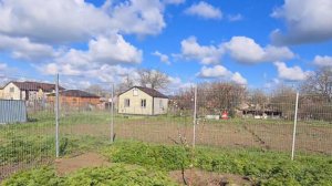 Александровка, огород у Тани. Коптим рыбу. Ремонт и море...Огород в Ейске.