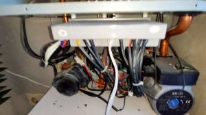 Gaz34.ru Oasis спустя 7лет без ТО. На чистой воде.