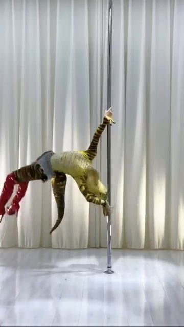 Жена дракона