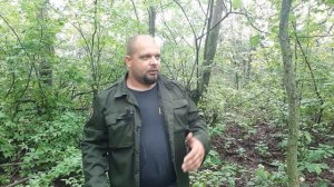 Защититься от стаи волков, уклон и парирование атаки