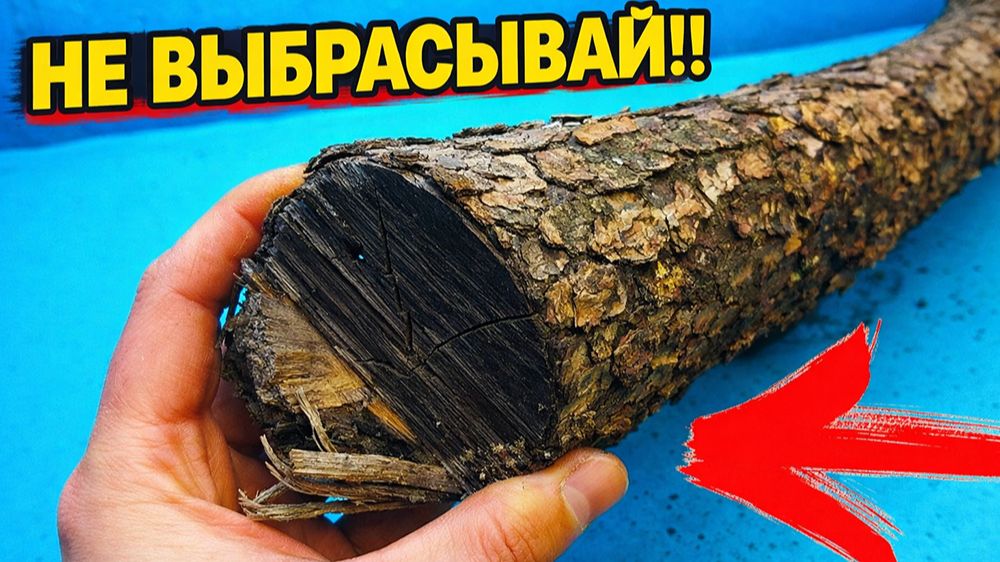 Да этом микробизнесе можно кучу денег поднять!