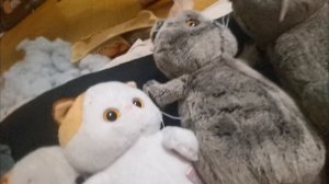 Падгатовка к пасхе