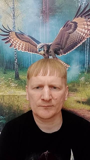 Уничтожение Института Государства и Права
