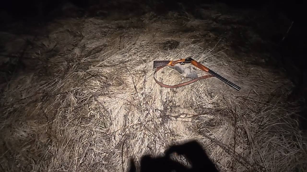 Весенний вальдшнеп. ТОЗ-34 и латунки.