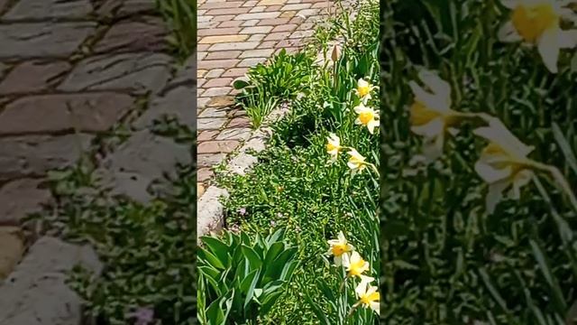 как вам наш храм цветочки природа пасматри 👍👍👍👍👍👍👍